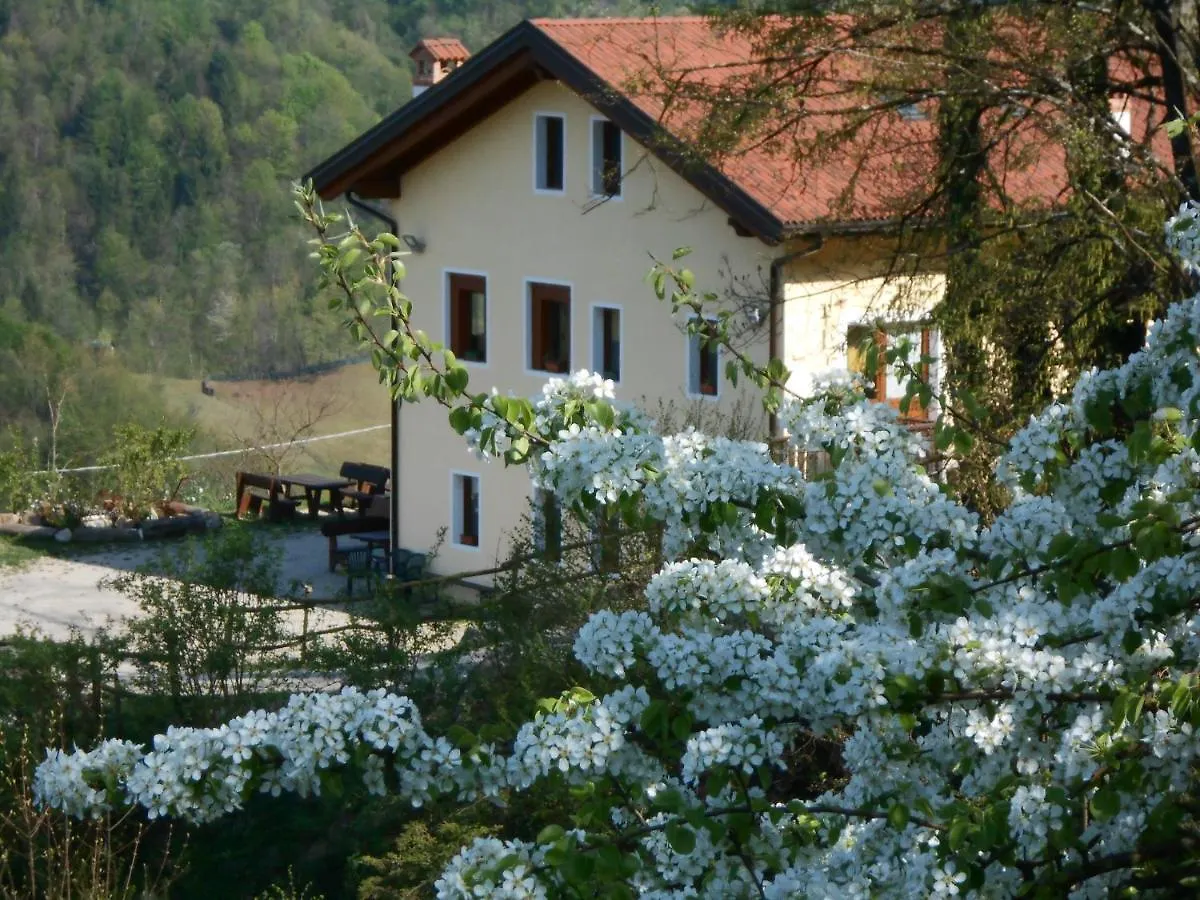 ファームステイ Agriturismo La Casa Nei Boschi Colderu イタリア