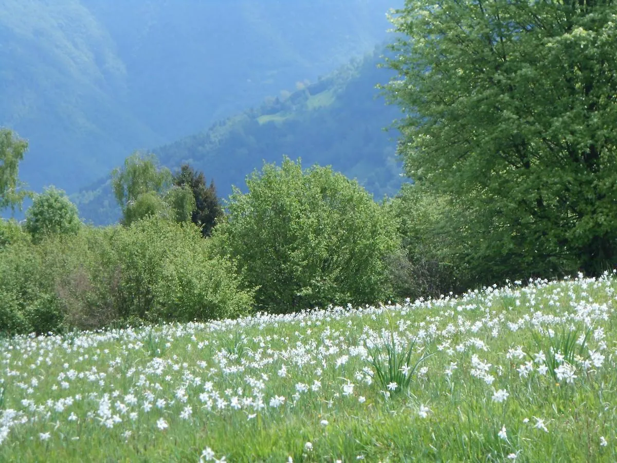 ファームステイ Agriturismo La Casa Nei Boschi Colderu