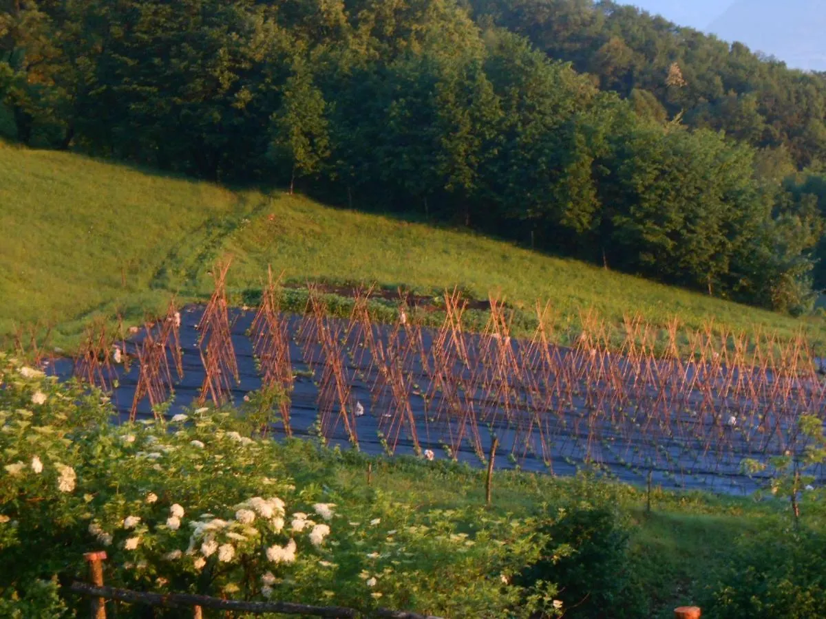 Agriturismo La Casa Nei Boschi Colderu 0*,